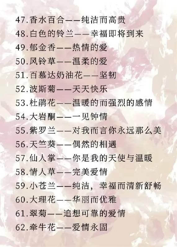 花语花语