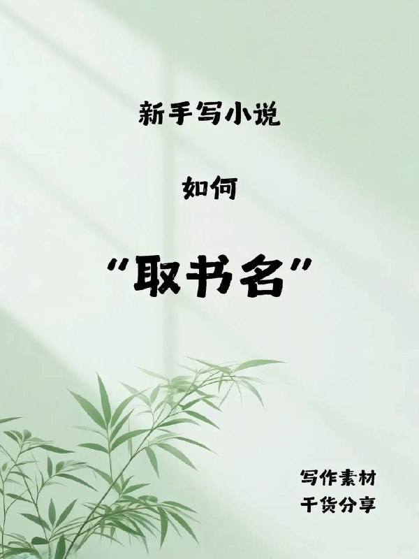 小说取书名小说取书名