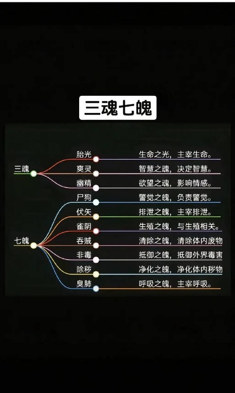 三魂七魄三魂七魄