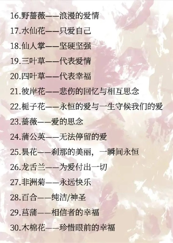 花语花语