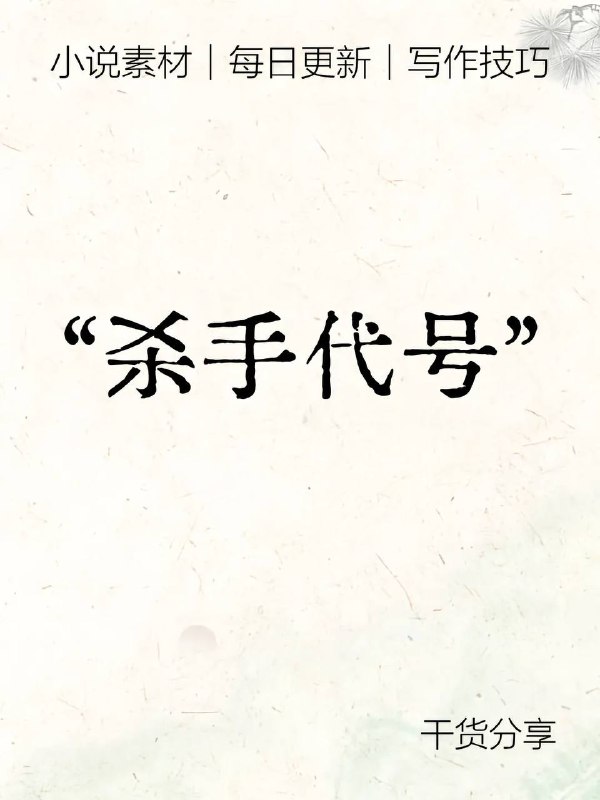 杀手代号杀手代号