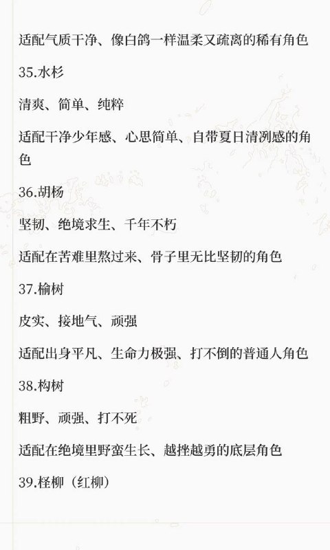 树木系设定树木系设定