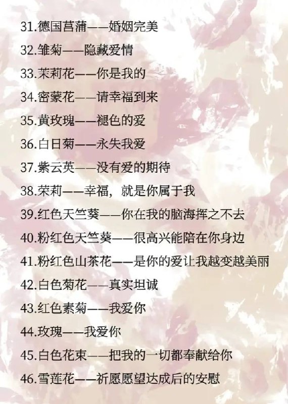 花语花语