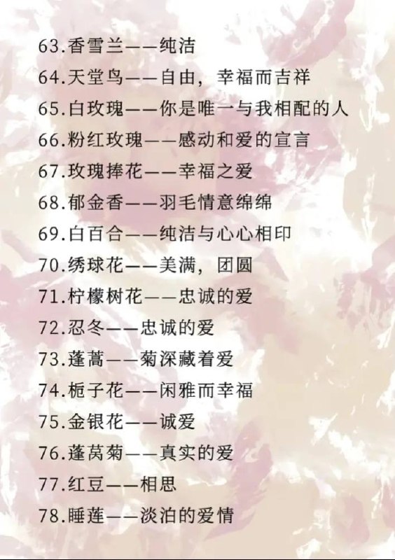 花语花语